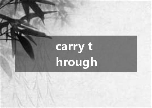 carry through是什么意思
