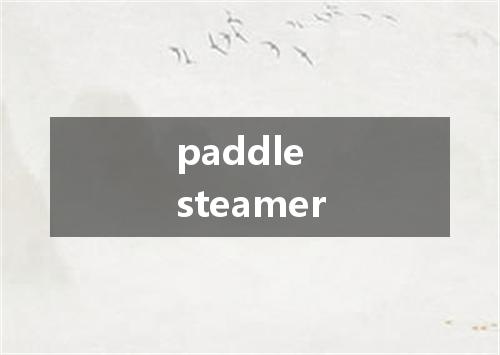 paddle steamer是什么意思