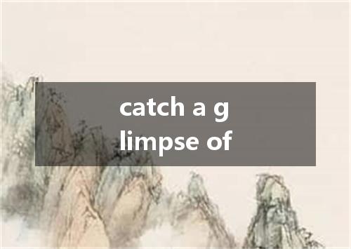 catch a glimpse of是什么意思