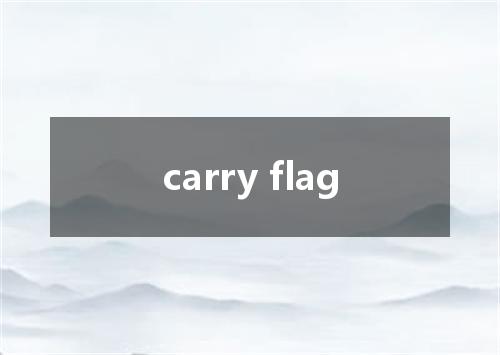 carry flag是什么意思