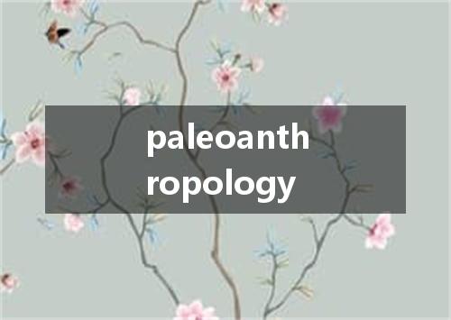 paleoanthropology是什么意思