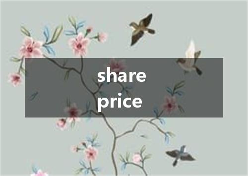share price是什么意思