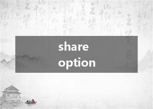 share option是什么意思