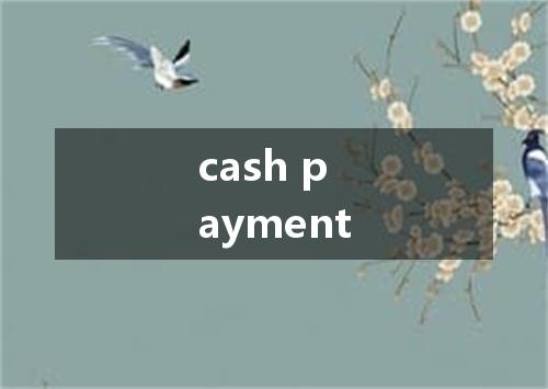 cash payment是什么意思