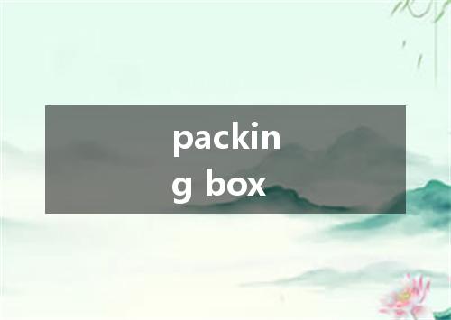 packing box是什么意思