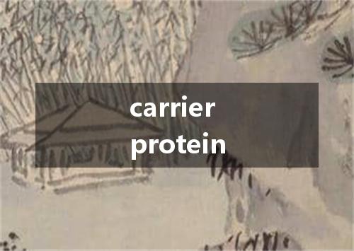 carrier protein是什么意思