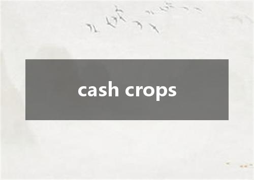 cash crops是什么意思