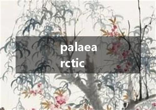 palaearctic是什么意思