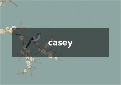 casey是什么意思