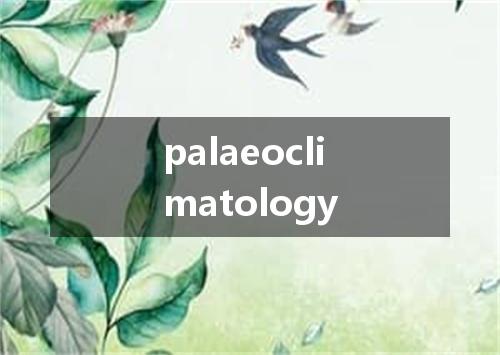 palaeoclimatology是什么意思
