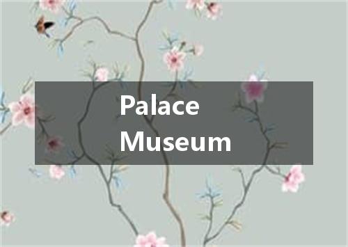 Palace Museum是什么意思