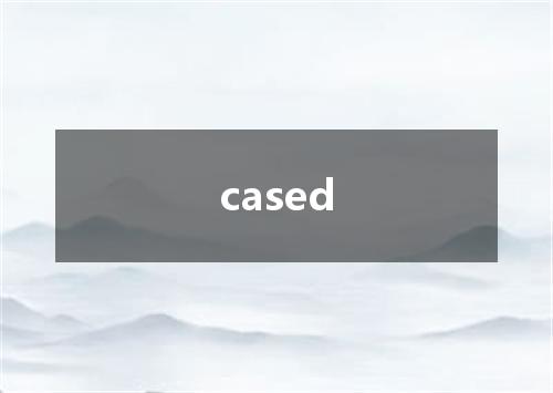 cased是什么意思