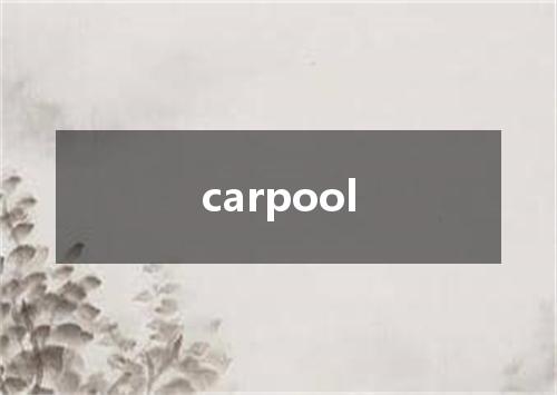 carpool是什么意思