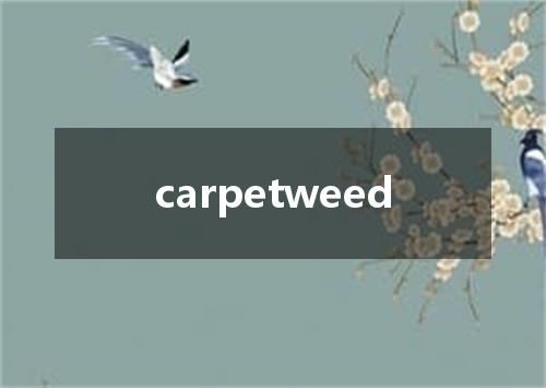carpetweed是什么意思