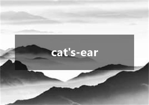 cat's-ear是什么意思