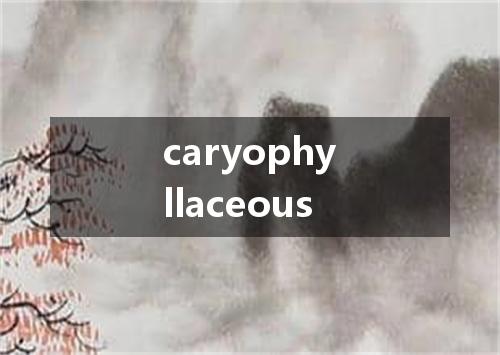 caryophyllaceous是什么意思