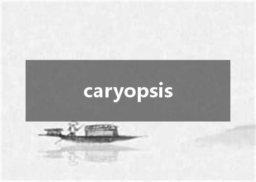 caryopsis是什么意思