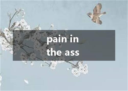 pain in the ass是什么意思
