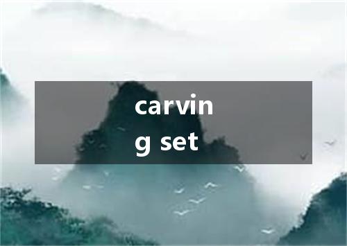 carving set是什么意思