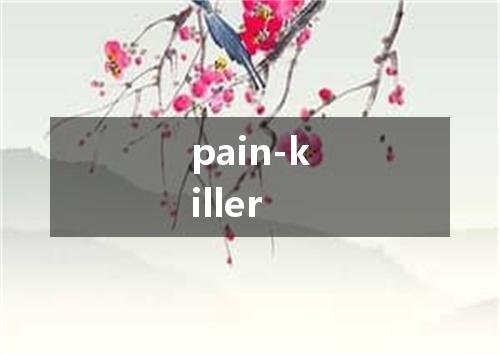 pain-killer是什么意思