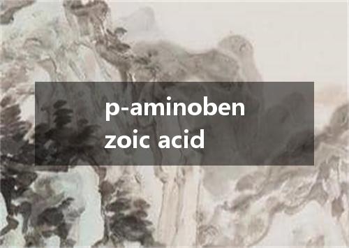 p-aminobenzoic acid是什么意思