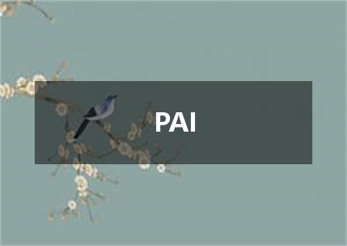 PAI是什么意思