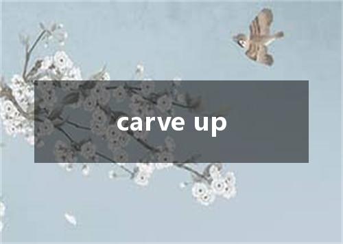 carve up是什么意思