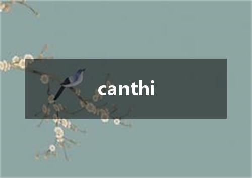 canthi是什么意思