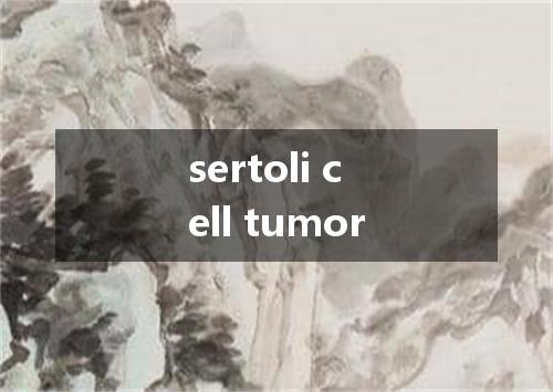 sertoli cell tumor是什么意思