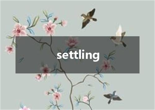 settling是什么意思