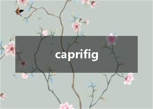 caprifig是什么意思