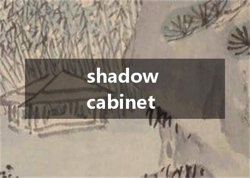shadow cabinet是什么意思
