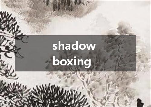 shadow boxing是什么意思