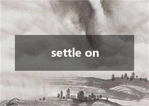 settle on是什么意思