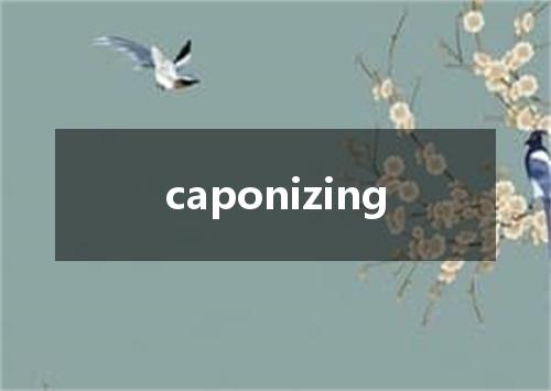 caponizing是什么意思