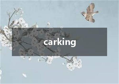 carking是什么意思
