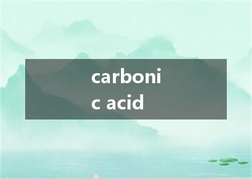 carbonic acid是什么意思