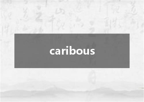 caribous是什么意思