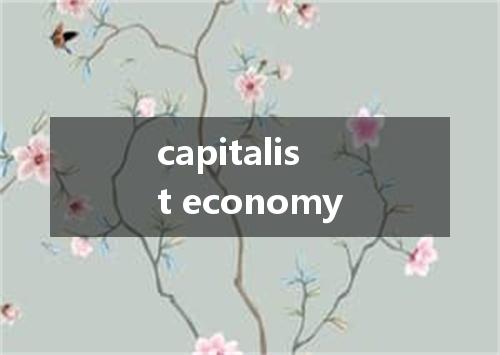capitalist economy是什么意思