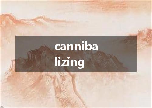 cannibalizing是什么意思