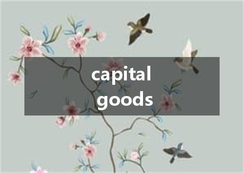 capital goods是什么意思