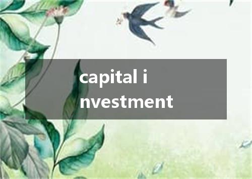 capital investment是什么意思