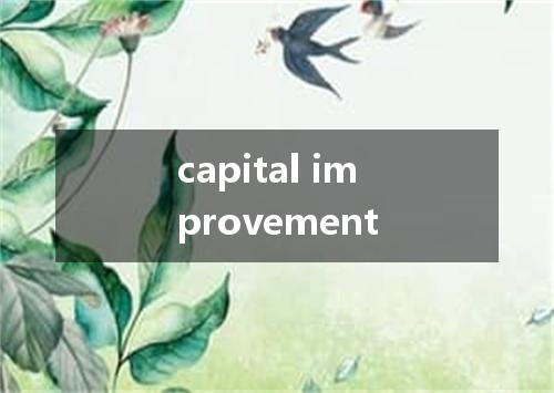 capital improvement是什么意思