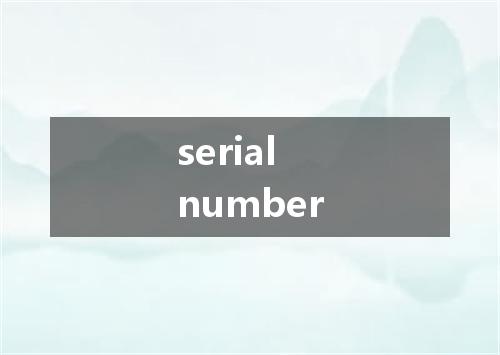 serial number是什么意思