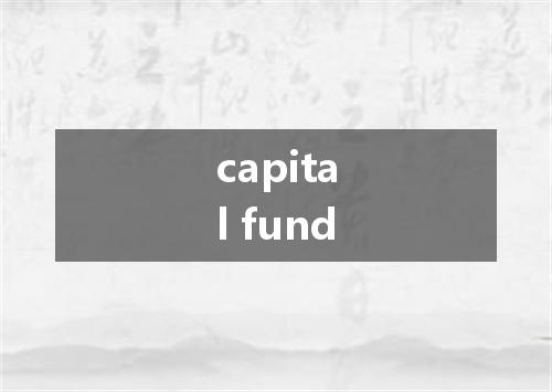 capital fund是什么意思