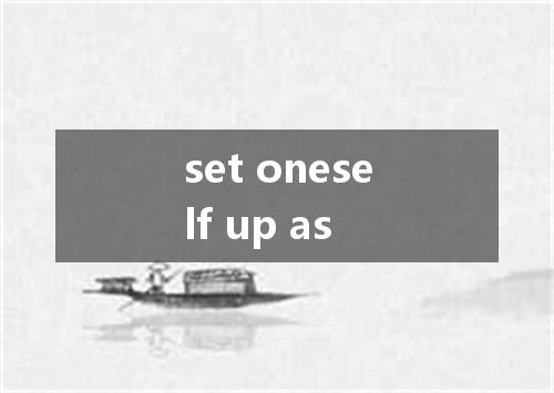 set oneself up as是什么意思