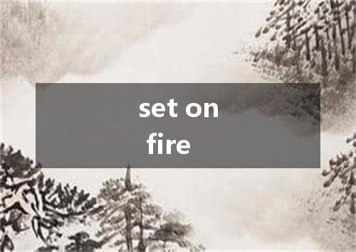 set on fire是什么意思