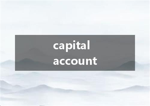 capital account是什么意思
