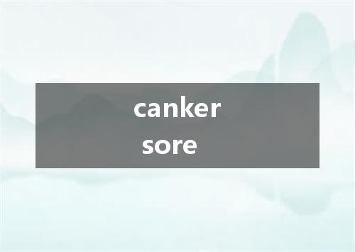 canker sore是什么意思