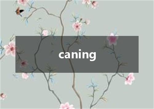 caning是什么意思